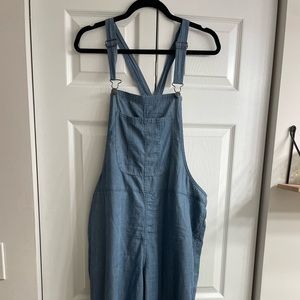 Striped Light Weight Overall Pants